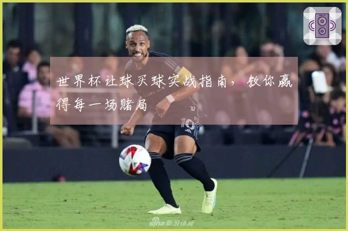 世界杯让球买球实战指南，教你赢得每一场赌局