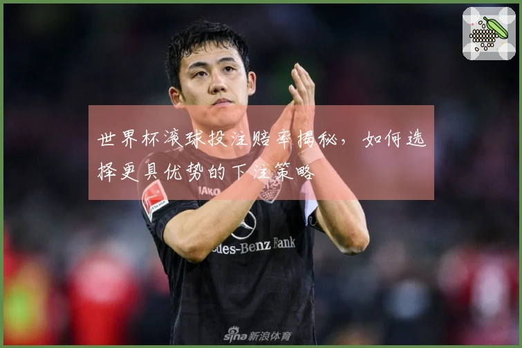 世界杯滚球投注赔率揭秘，如何选择更具优势的下注策略
