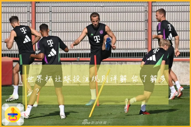 世界杯让球投注规则详解 你了解多少？