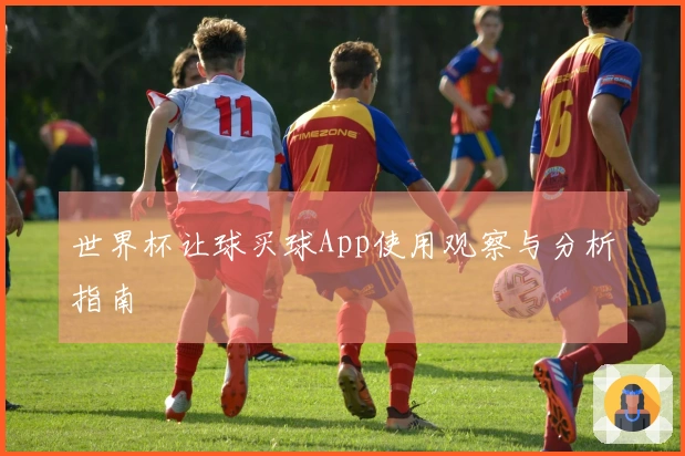 世界杯让球买球App使用观察与分析指南
