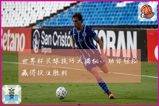 世界杯买球技巧大揭秘，助你轻松赢得投注胜利