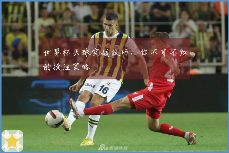 世界杯买球实战技巧，你不可不知的投注策略