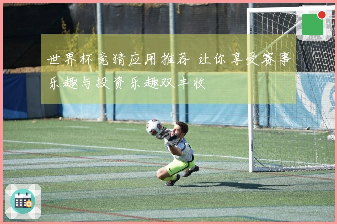 世界杯竞猜应用推荐 让你享受赛事乐趣与投资乐趣双丰收