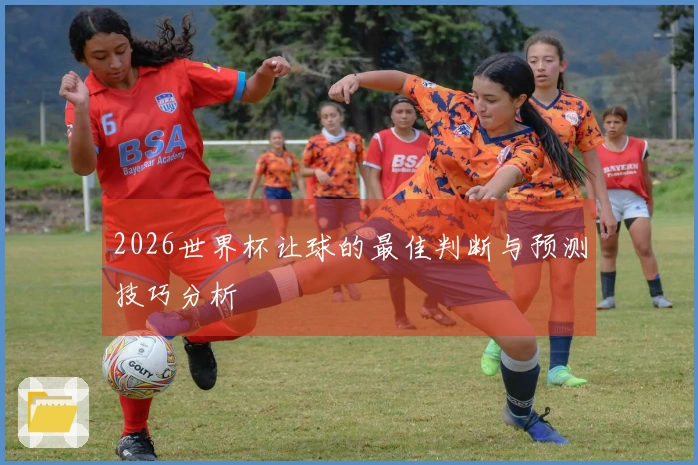 2026世界杯让球的最佳判断与预测技巧分析